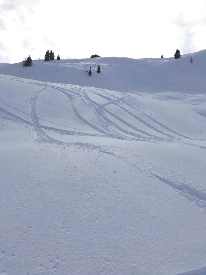 Gm Royal Plaza Aparthotel Borovets Eksteriør bilde